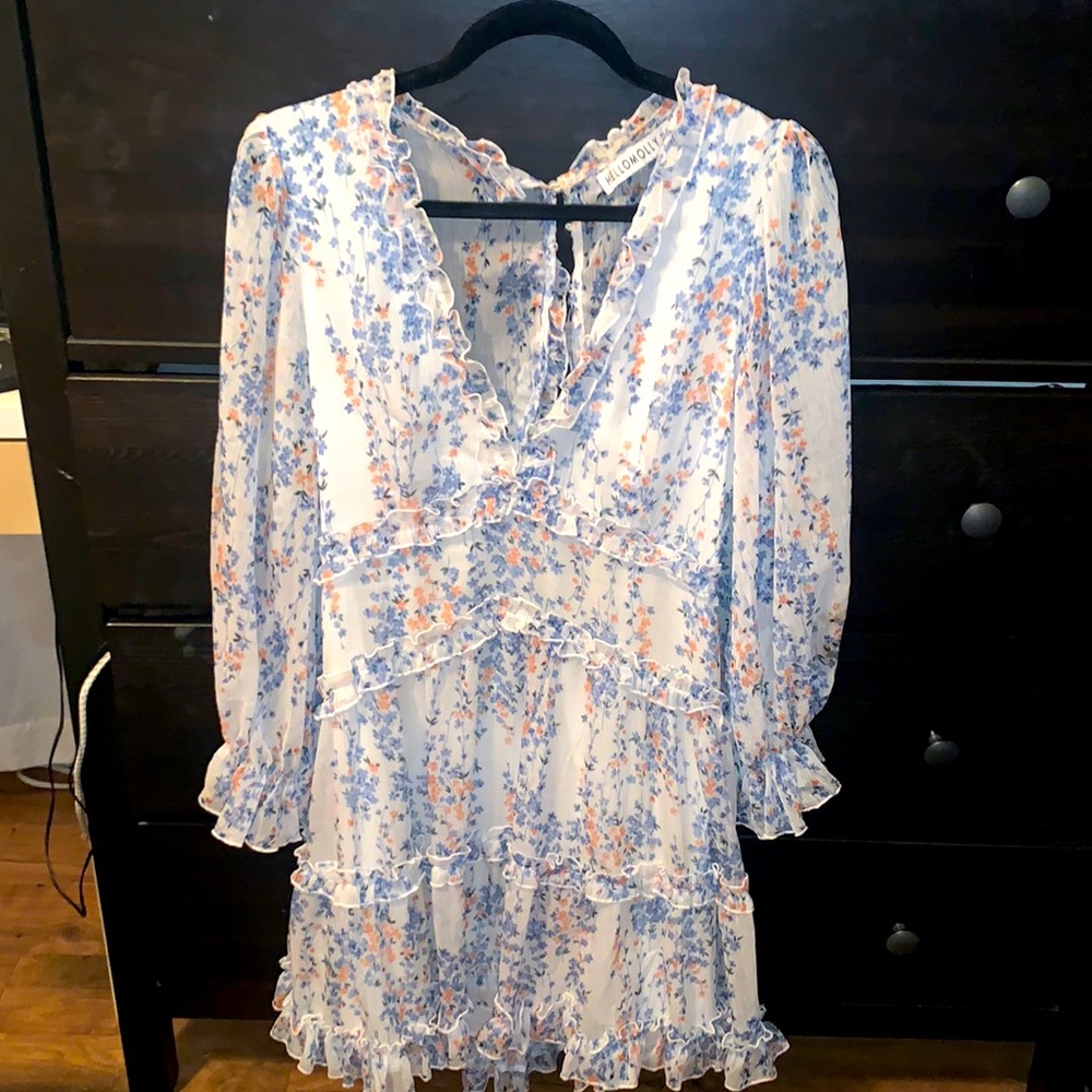 Lightly worn perfect condition HelloMolly dress